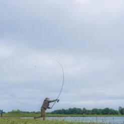 Canne Avid Carp Amplify 12ft 3-5oz (3.5lb) -Pêche Promotion Boutique 02 A0460016 17 amplify rods ls 550x550 1