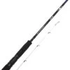 Savage Gear SGS6 Tenya Jeu BC 2.51m F 25-95g