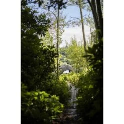 Système De Brolly Avid Carp HQ Double Couche -Pêche Promotion Boutique Avid20Carp20HQ20Dual20Layer20Brolly20System4 550x550h