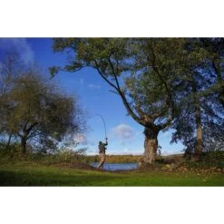 Shimano Carpe Tribal TX Ultra A 12ft 3.00LB 16 Shimano Carpe Tribal TX Ultra A 12ft 3.00LB -Pêche Promotion Boutique DSC03670 550x550w